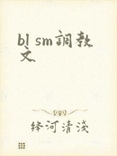 bl sm调教文封面