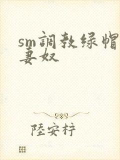 sm调教绿帽夫妻奴