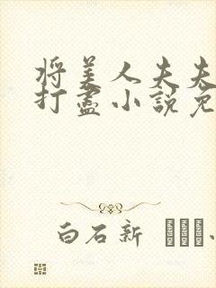 将美人夫夫一网打尽小说免费阅读