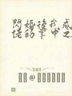 闪婚后我成了大佬的掌中之物马小宇