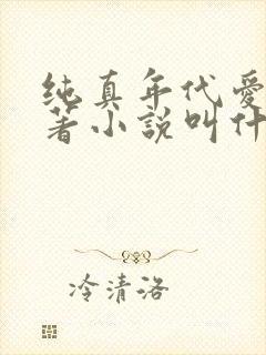 纯真年代爱情原著小说叫什么名字