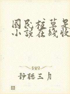 国民校草是女生小说在线收听