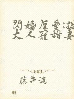 闪婚厚爱:总裁大人宠甜妻封面
