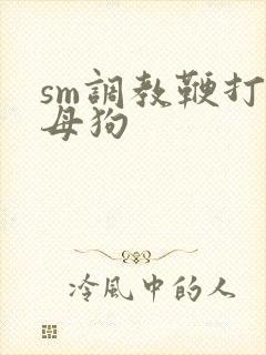 sm调教鞭打骚母狗