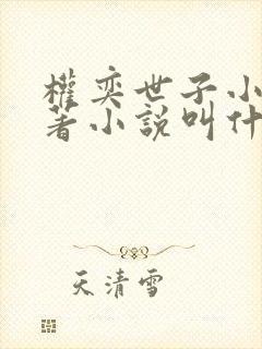 权奕世子小说原著小说叫什么名字啊