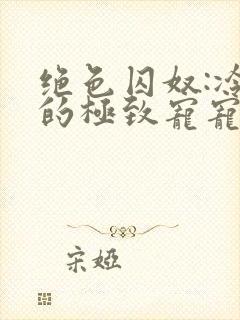 绝色囚奴:冷枭的极致宠宠