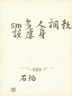 sm多人调教小说虐身