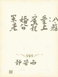 军婚蜜爱:八零老公宠上瘾大结局封面