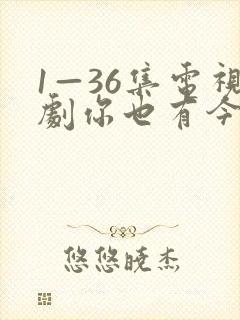 1—36集电视剧你也有今天