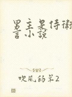 男主是侍卫的古言小说封面