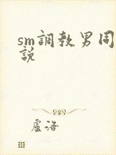 sm调教男同小说