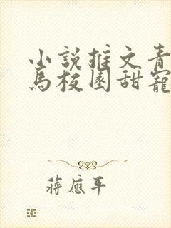 小说推文青梅竹马校园甜宠文完结视频