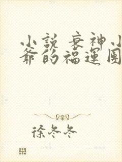 小说 衰神小王爷的福运团宠妻