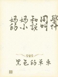 妈妈和同学小康的小说叫什么名字封面