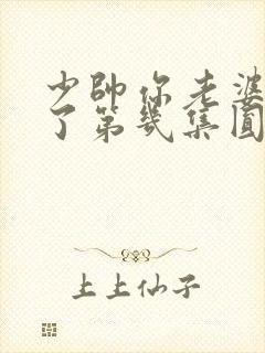 少帅你老婆又跑了第几集圆房