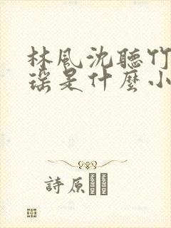 林风沈听竹陈贝瑶是什么小说