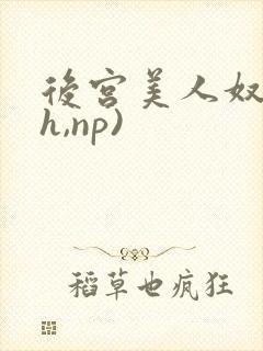 后宫美人奴(高h,np)