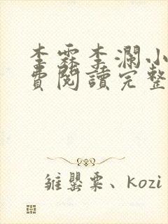 李霖李澜小说免费阅读完整版
