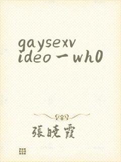 gaysexvideo一wh0
