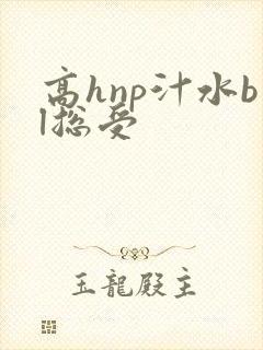 高hnp汁水bl总受