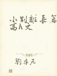 小别离长篇巨肉高h文