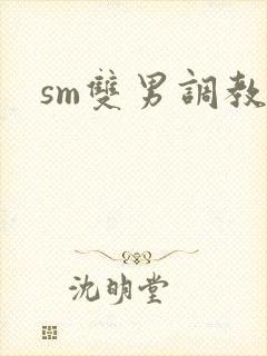sm双男调教文