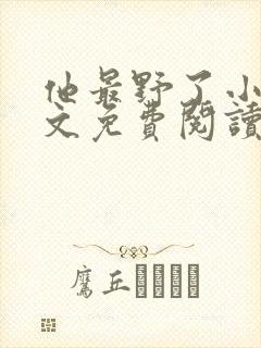 他最野了小说全文免费阅读