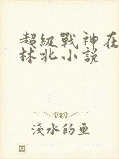 超级战神在都市林北小说