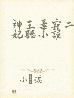 神王毒宠二嫁王妃听小说