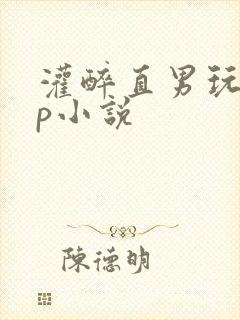 灌醉直男玩弄np小说