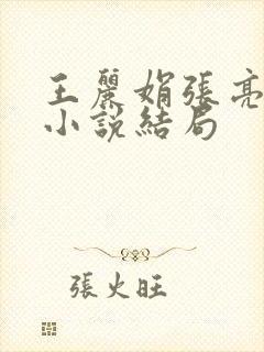 王丽娟张亮张爽小说结局封面