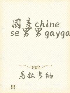 国产chinese男男gaygay网站软件