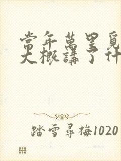 当年万里觅封侯大概讲了什么