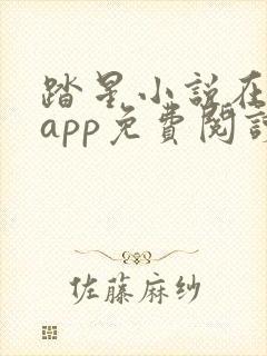 踏星小说在哪个app免费阅读