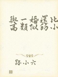 与一婚还比一婚高类似的小说