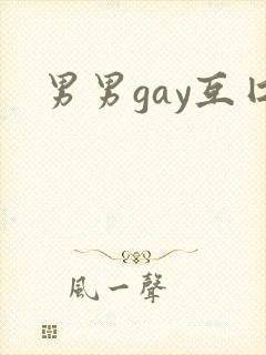 男男gay互囗