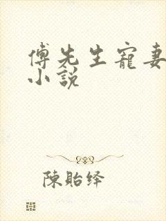 傅先生宠妻无度小说