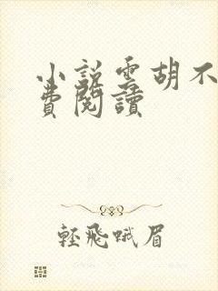 小说云胡不喜免费阅读封面