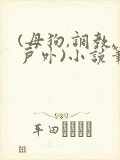 (母狗,调教,户外)小说笔趣阁在线阅