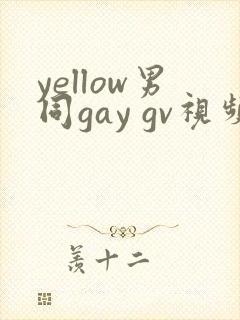 yellow男同gay gv视频在线观看封面