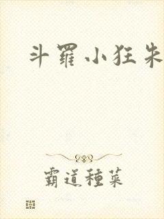 斗罗小狂朱竹清