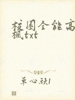 校园全能高手季枫txt