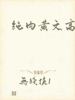 纯肉黄文高h文