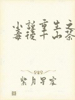 小说重生之将门毒后千山茶客完本