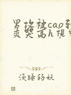 男攻被cao到爽哭高h视频
