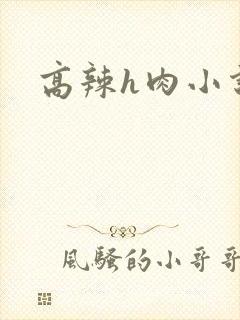 高辣h肉小说