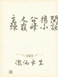 主人公杨开的武炼巅峰小说