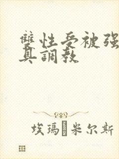 双性受被强制道具调教