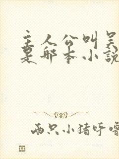 主人公叫吴凯的是哪本小说
