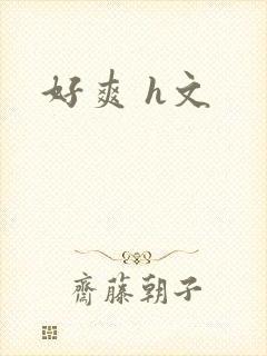 好爽 h文